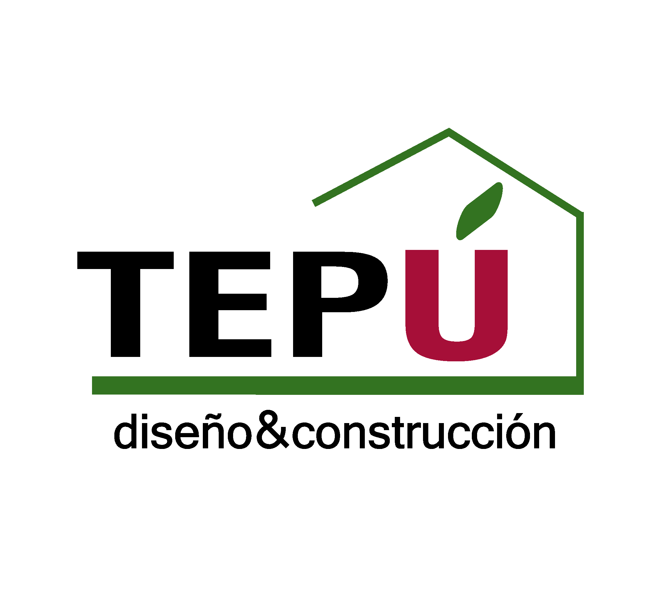 logo-tepu